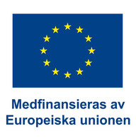 Logotyp EU