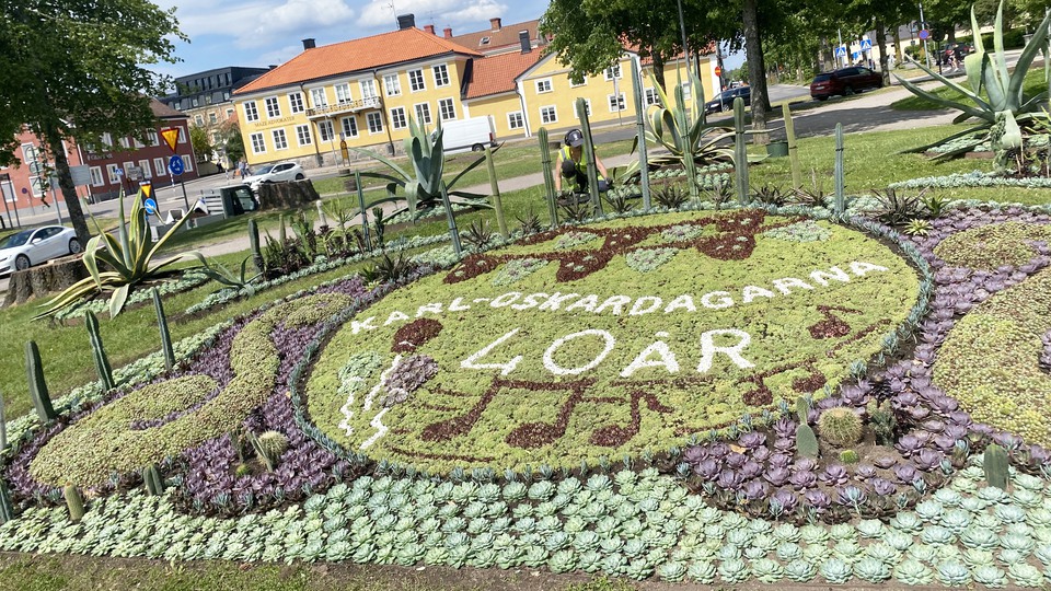 Halvmåneformad plantering med kaktusar och andra suckulenter planterade i ett snirkligt mönster i olika gröna och lila nyanser och texten Karl-Oskardagarna 40 år.